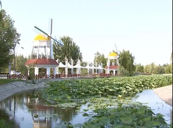 锦湖公园:荷花初绽