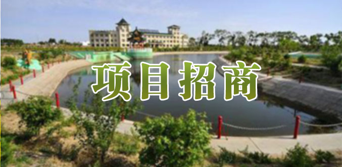 项目招商.jpg