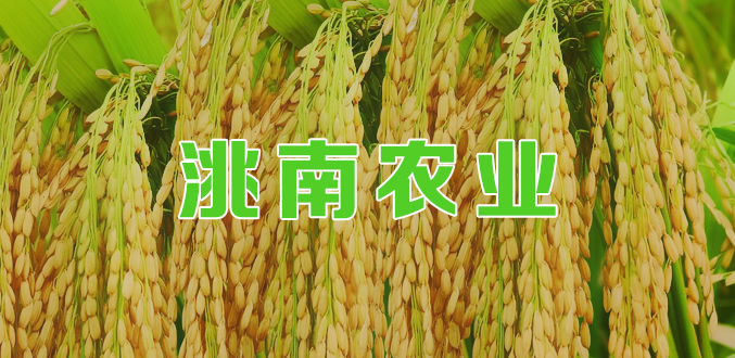 农业专题.jpg